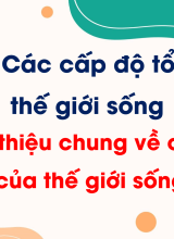 Bài 3. Giới thiệu chung về các cấp độ tổ chức của thế giới sống (Tiết 2)